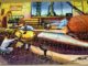 Good Companion Jigsaw #65: Rocket Workshop